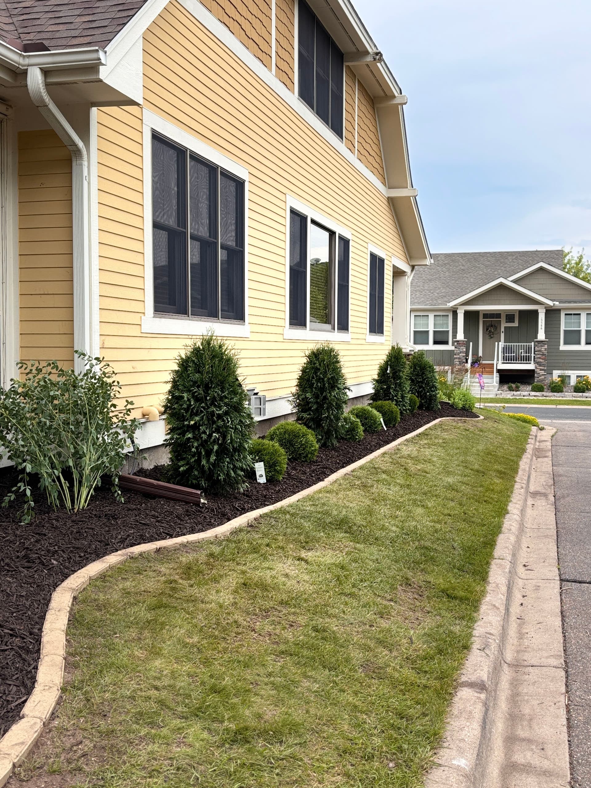 Gallery photos for New Homeowner Front Yard Overhaul with Arborvitaes and Concrete Edging: Image #7