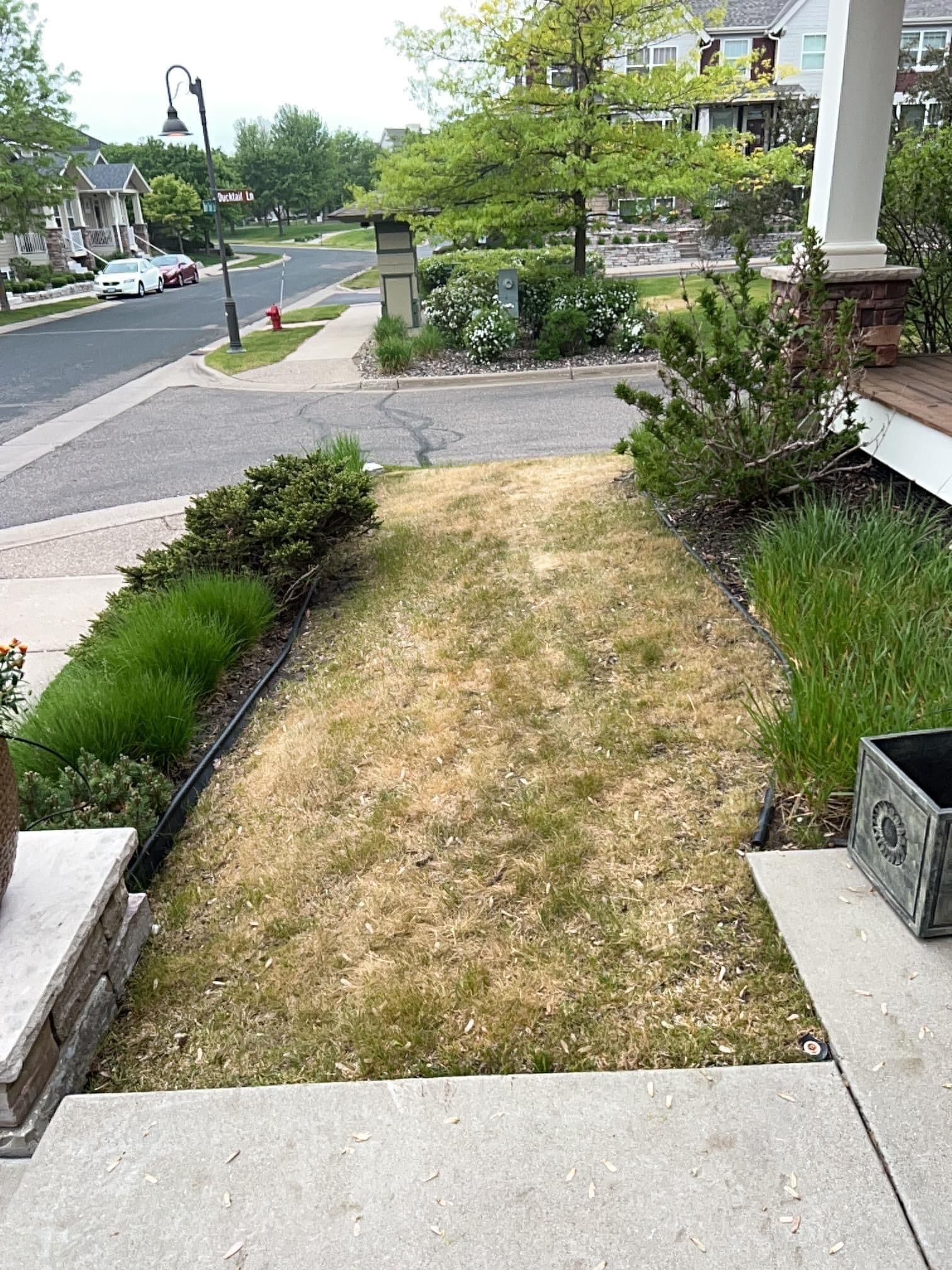 Gallery photos for New Homeowner Front Yard Overhaul with Arborvitaes and Concrete Edging: Image #4