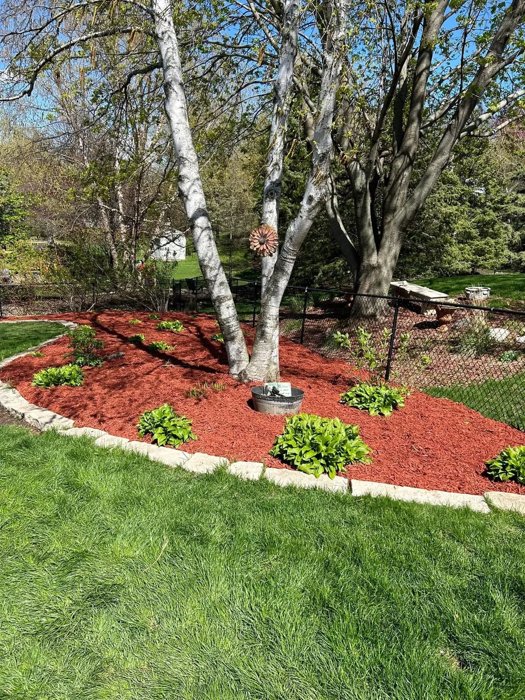 Lush garden with mulched beds, green grass, trees, and decorative fence on a sunny day.
