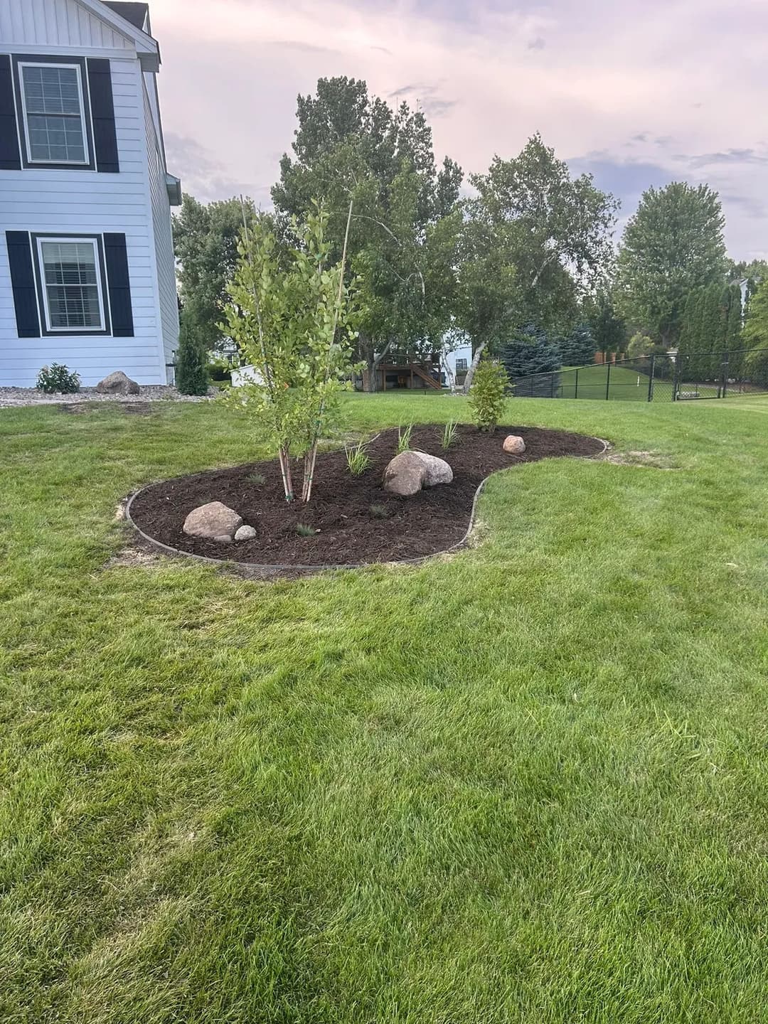 Landscaped garden featuring mulched bed with rocks, small trees, and lush green grass.