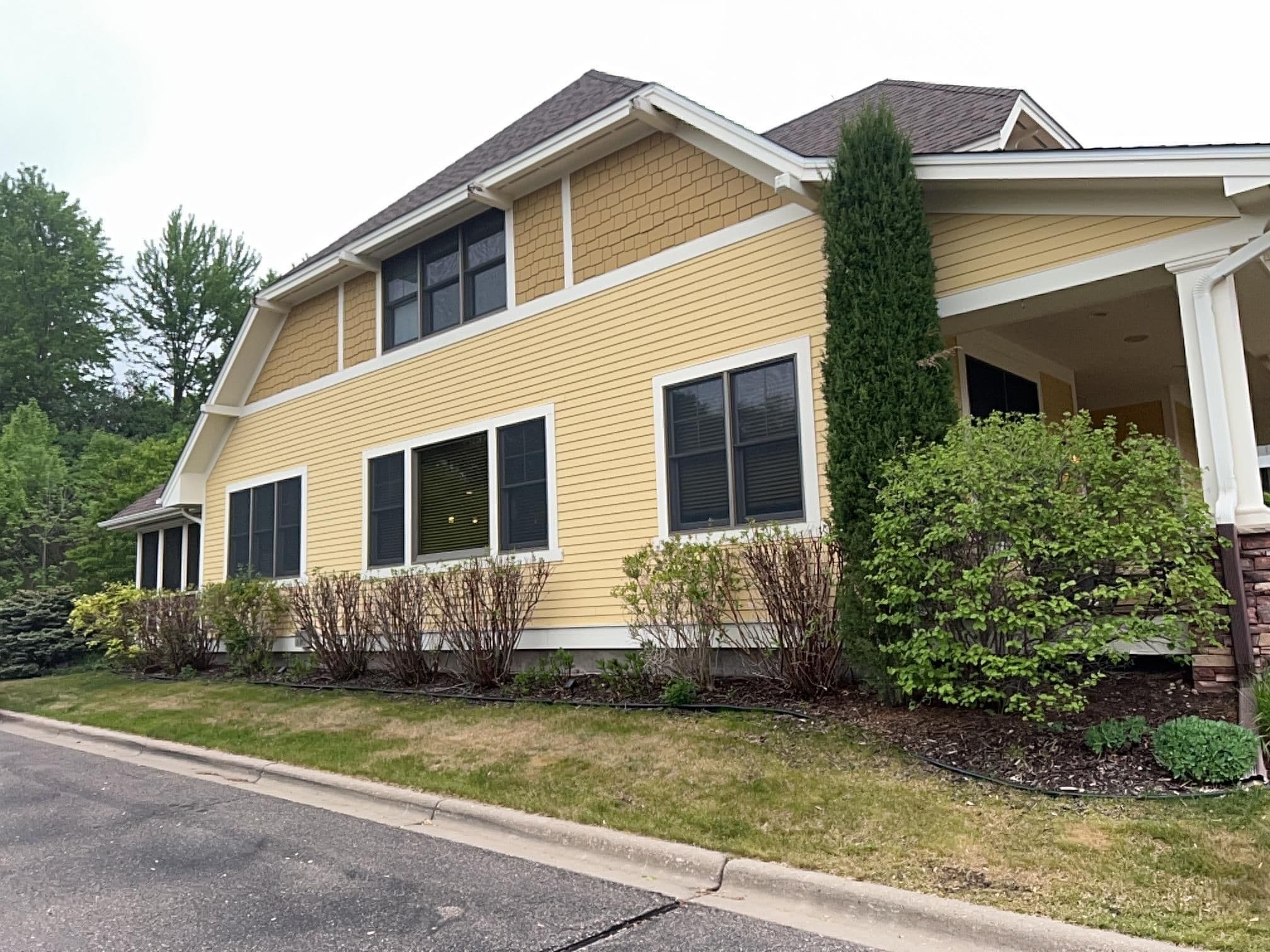 Project New Homeowner Front Yard Overhaul with Arborvitaes and Concrete Edging image