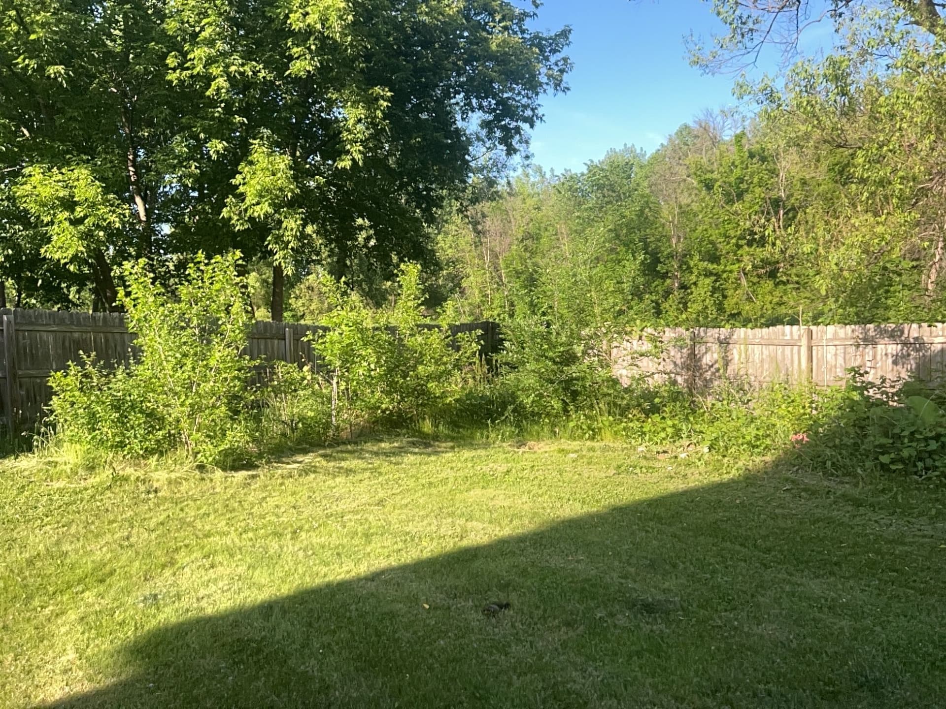 Gallery photos for Boulder Wall, River Rock and Backyard Grading Done Right: Image #9