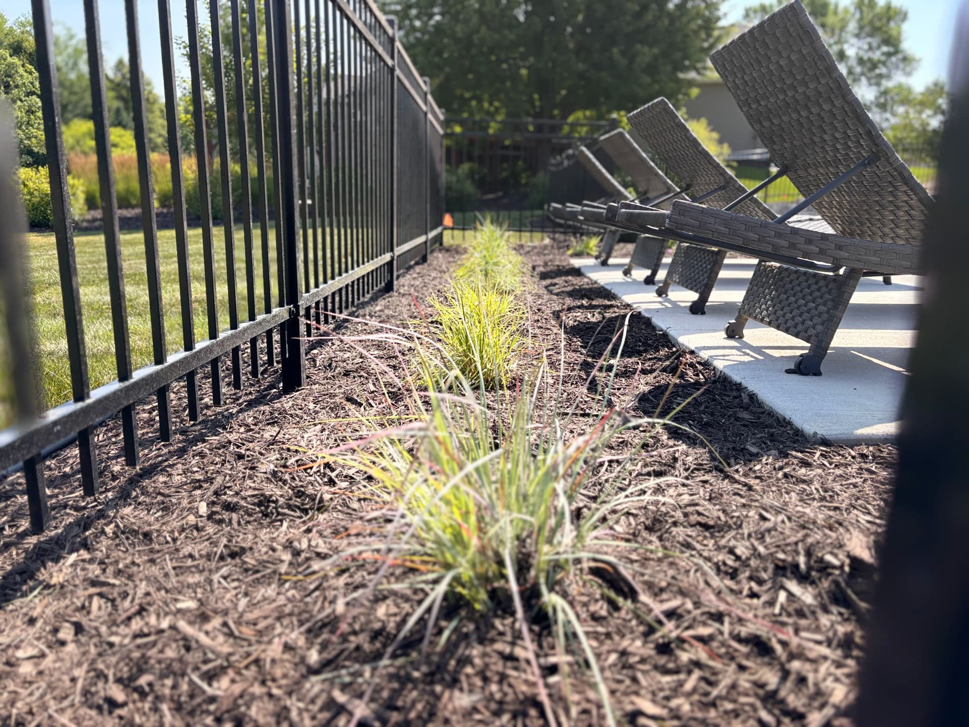 Gallery photos for Full Poolside Landscape Overhaul That Actually Works Together: Image #5