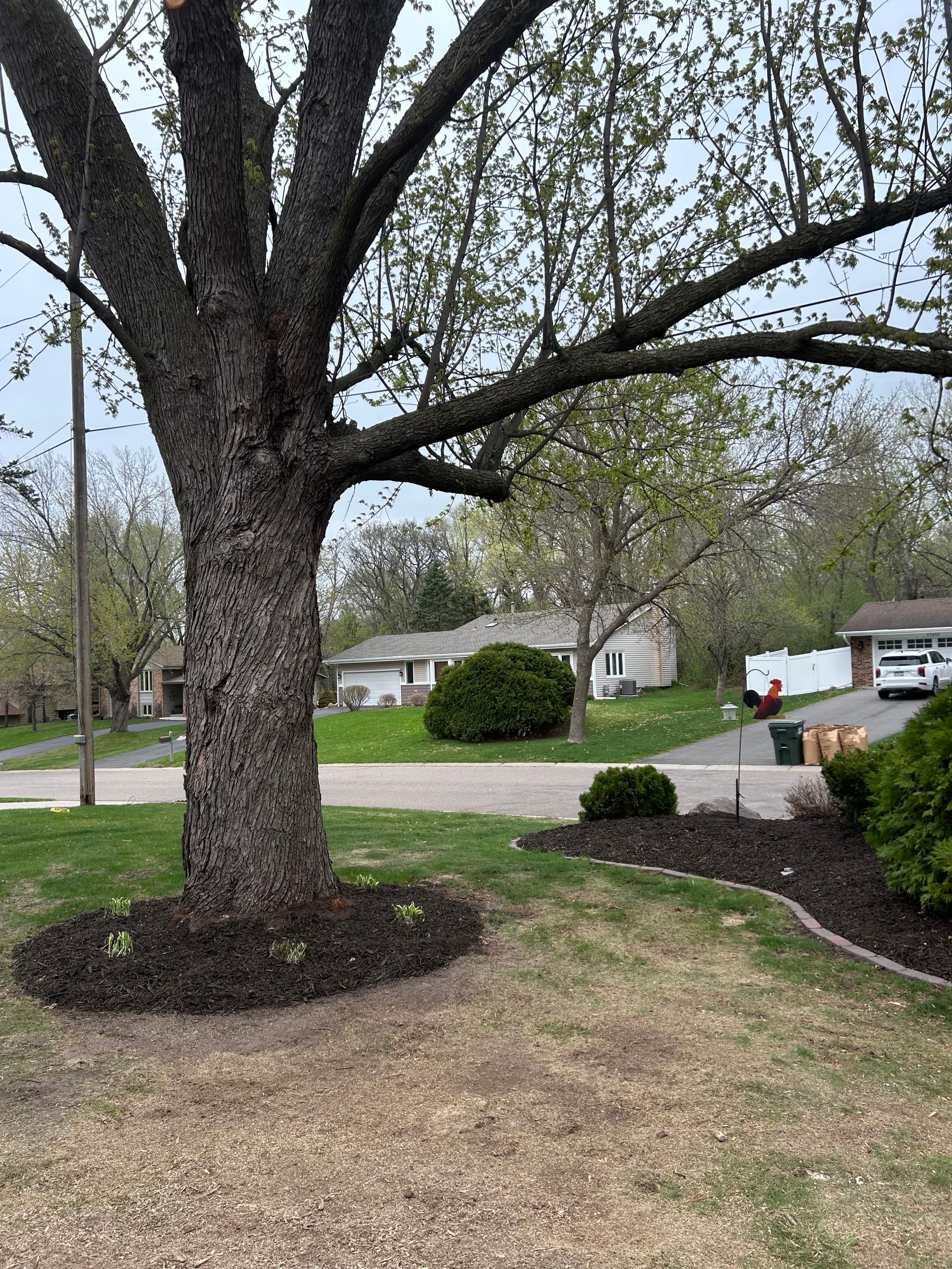 Gallery photos for Timber Wall Torn Out, Boulder Wall and Fresh Landscaping Put In: Image #8