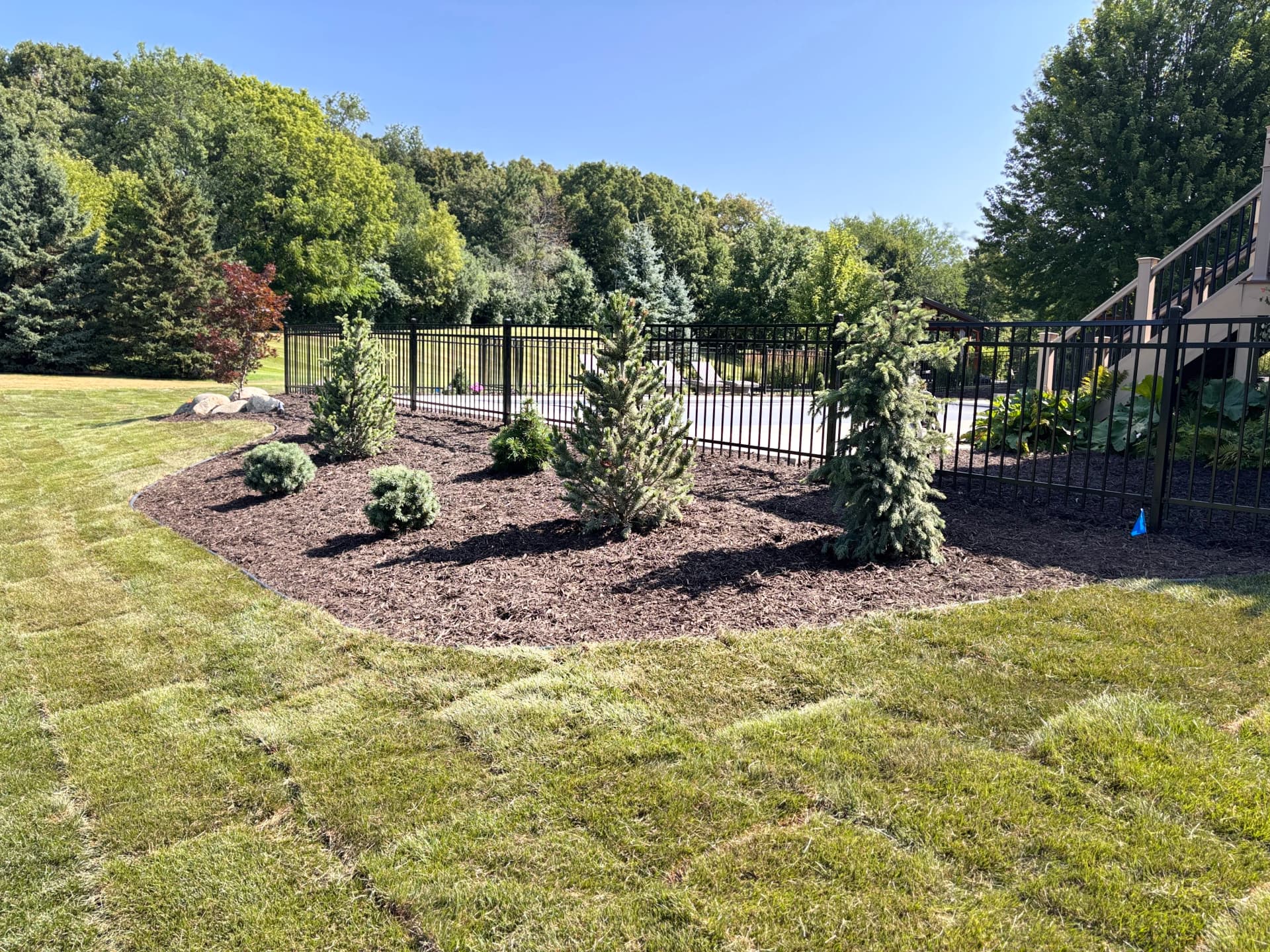 Gallery photos for Full Poolside Landscape Overhaul That Actually Works Together: Image #7