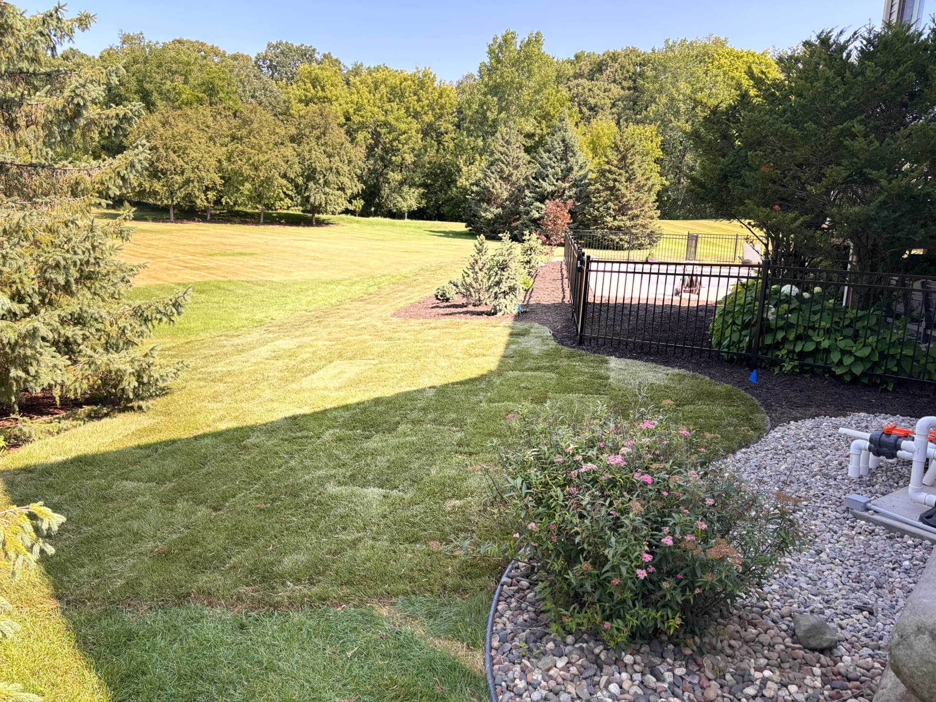 Gallery photos for Full Poolside Landscape Overhaul That Actually Works Together: Image #8